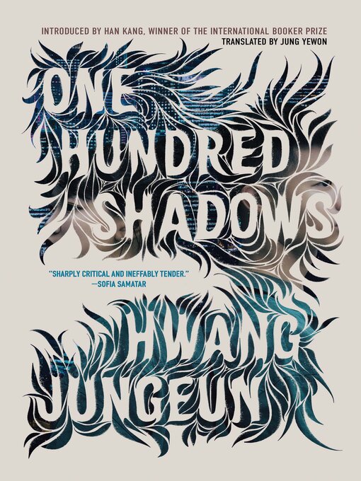 Title details for One Hundred Shadows by Hwang Jungeun - Wait list